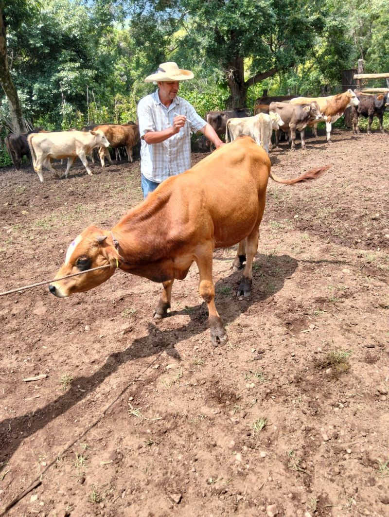 La sanidad animal es una prioridad para el desarrollo sostenible del sector ganadero