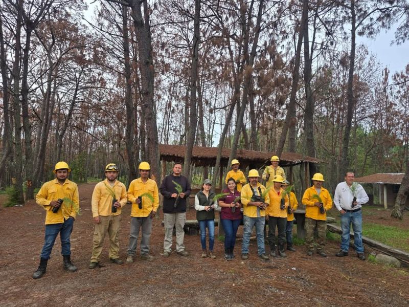 Jornada Nacional De Reforestación Luvianos