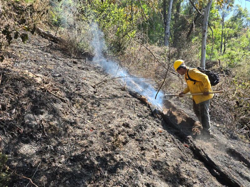 Se atendio llamado de incendio por un rayo en el Cerro de la Culebra